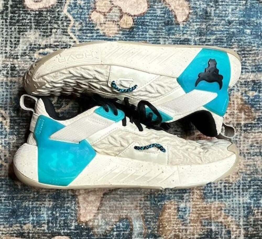 Under Armour Project Rock 6 Training/Workout Shoes